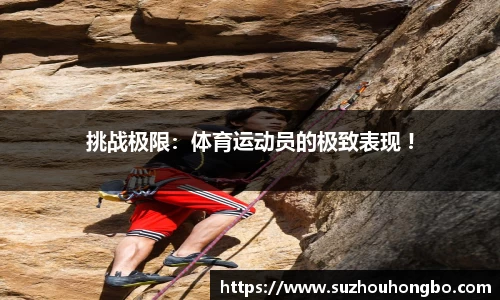 球速体育官网